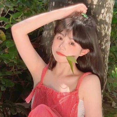 龙门骠局游戏下载